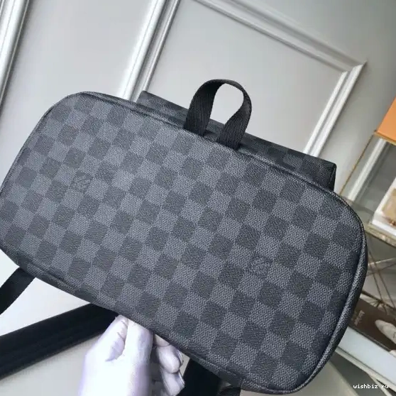 WIS Backpack Louis Vuitton 0602